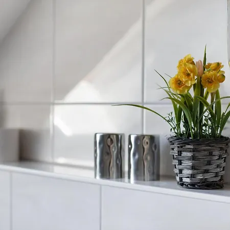 Haus Birkenmeier 公寓 弗赖堡