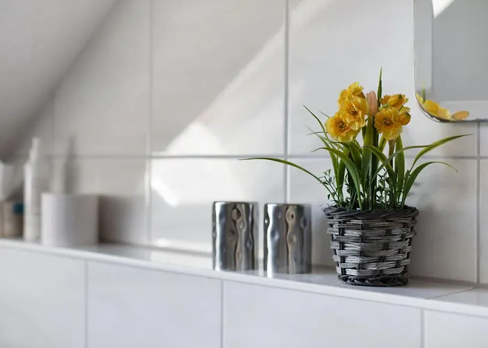 Haus Birkenmeier Apartment Freiburg im Breisgau