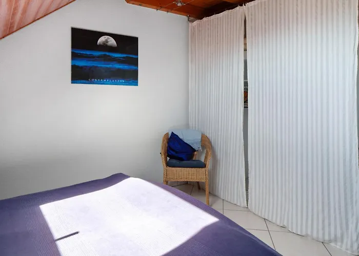 Haus Birkenmeier Apartment Freiburg im Breisgau